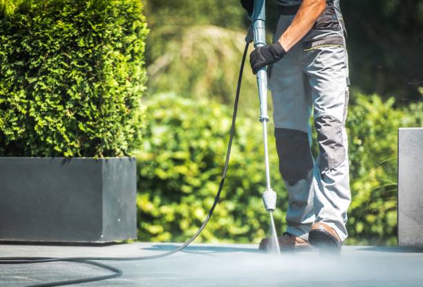 Best Driveway Cleaning and Restoration in Gibsonville, NC